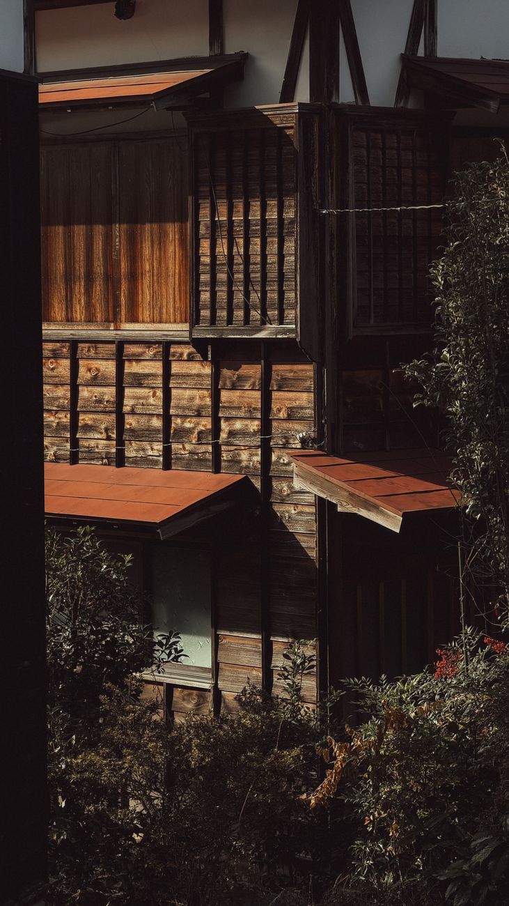 Sunlight streaming through bamboo grove in Arashiyama